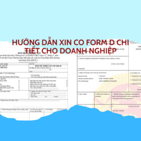 HƯỚNG DẪN XIN CO FORM D CHI TIẾT CHO DOANH NGHIỆP